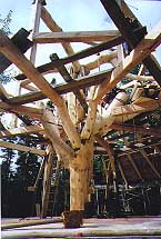 Timber Framing - This is one elaborate "tree fort"