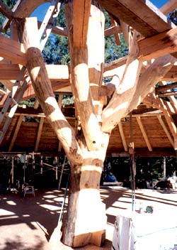 Timber Framing - Functional and attractive
