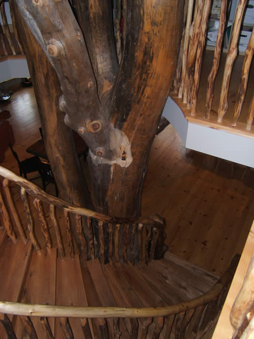 A look from the stairs