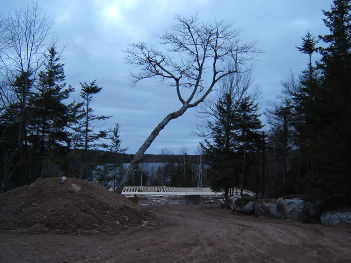The veiw of the lake from the driveway