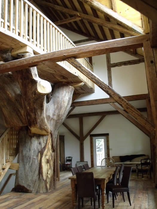 Tree base in the timber frame