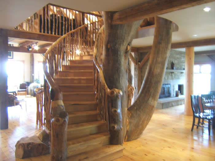 A tree incorporated into the stairs